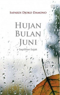 HUJAN BULAN JUNI