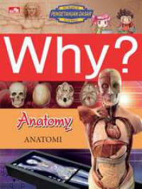 WHY? Anatomy