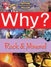 WHY? Rock & Mineral